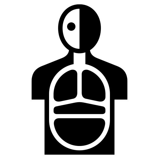 人体模型のピクトグラム、アイコン、イラストの無料（フリー）素材（SVG/JPG/PNG）