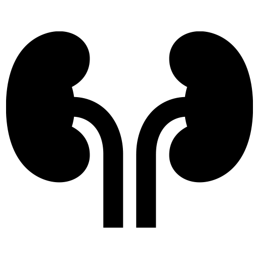 腎臓のピクトグラム、アイコン、イラストの無料（フリー）素材（SVG/JPG/PNG）